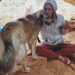 Meet your Posher, Connie